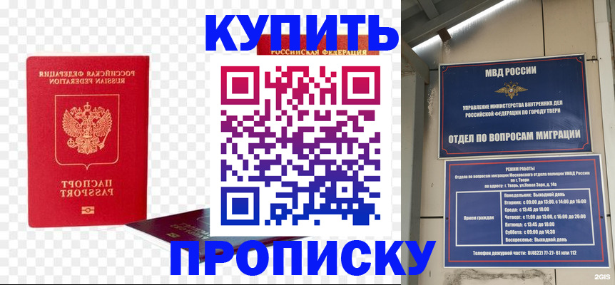купить прописку в Щёлково